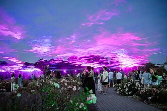  „Botaninės naktys 2024“