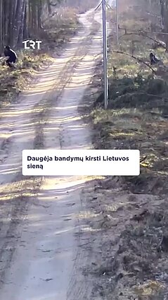 Daugėja neteisėtai sieną bandančių kirsti migrantų