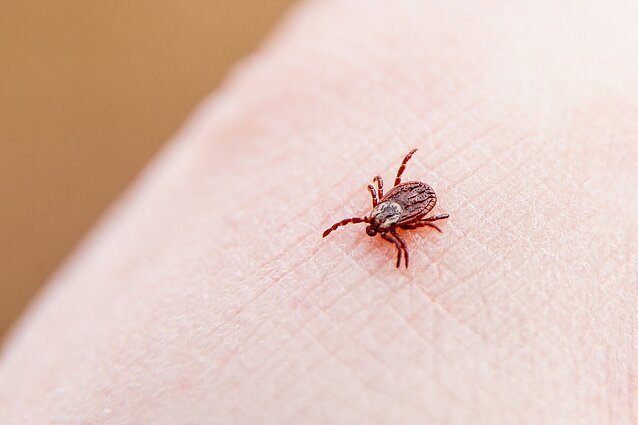 Sergančiųjų Laimo liga skaičiaus šuolis stebina: „Grįžot iš lauko – pasitikrinkit“