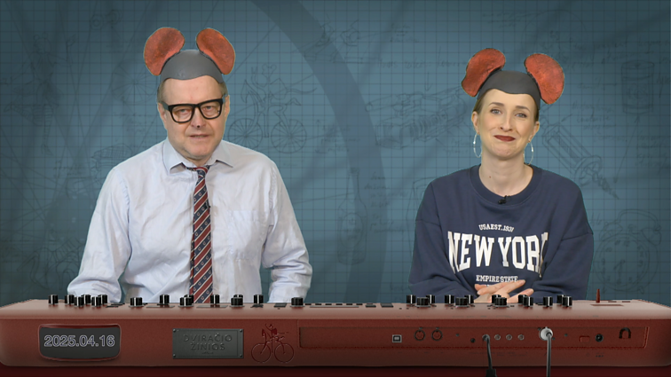 Peliukai apie Seimo narius: trūksta darbo?