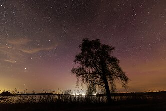 Northern Lights appear over Lithuania – in pictures