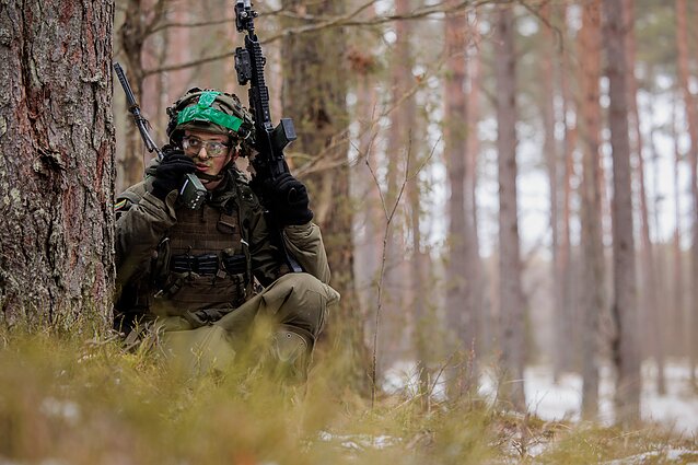 Вооружённые силы Литвы