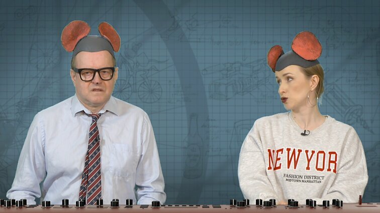 Peliukai apie sirgimą be biuletenio: išaugs sergančiųjų skaičius?