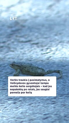 Vaišvydavos gyventojai rūpinasi, kad varlyčių kelionės būtų saugios