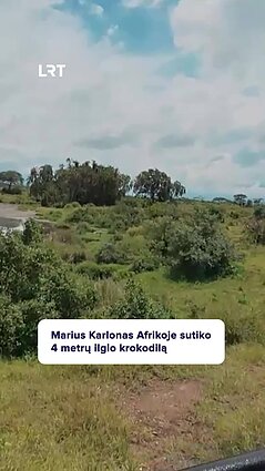Milžiniško dydžio krokodilą sutikęs Karlonas: mielai jis mane sumedžiotų