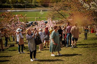 Vilnius. Gamta. Orai. Pavasaris