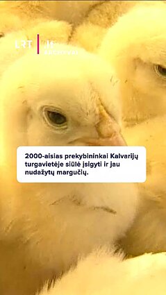 2000-aisias prekybininkai Kalvarijų turgavietėje siūlė įsigyti ir jau nudažytų margučių