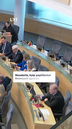 Gynybos finansavimo didinimo klausimai skaldo Seimo valdančiuosius
