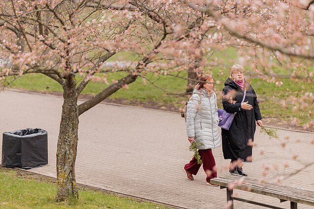 Sinoptikė apie artėjančius orų pokyčius: įsivyraus sausesnės, bet vėsesnės dienos