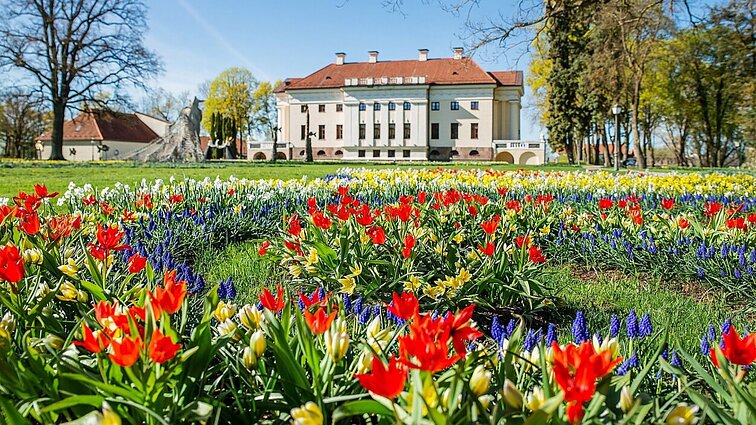 Pakruojo dvare – spalvinga pavasario simfonija: kviečia mėgautis milijonais gėlių žiedų