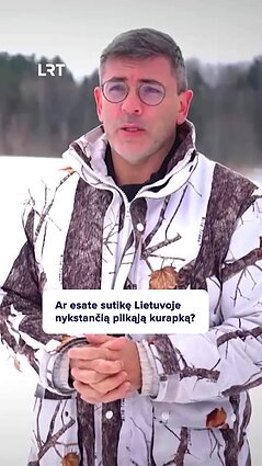 Čepulis apie nykstančias kurapkas: anksčiau kurapkų būdavo kiekviename kampe