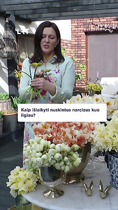 Patarimai, kaip ilgiau išlaikyti narcizus