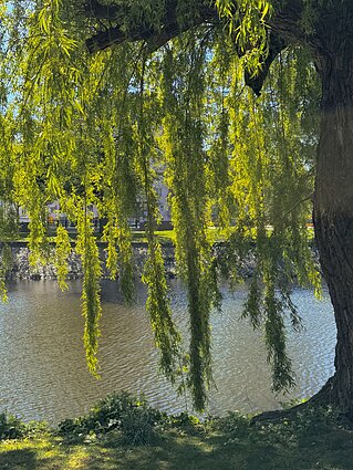 Agnės Tarailaitės savaitgalis Amsterdame Agnės Tarailaitės savaitgalis Amsterdame