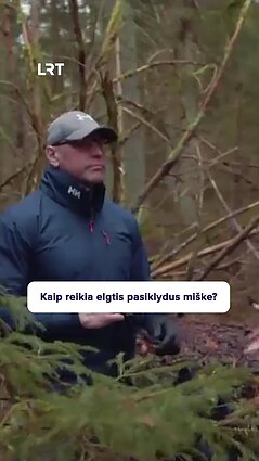 išbandymai miške – kaip elgtis pasiklydus?