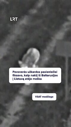 Šiąnakt iš Baltarusijos į Lietuvą atėjo meška!