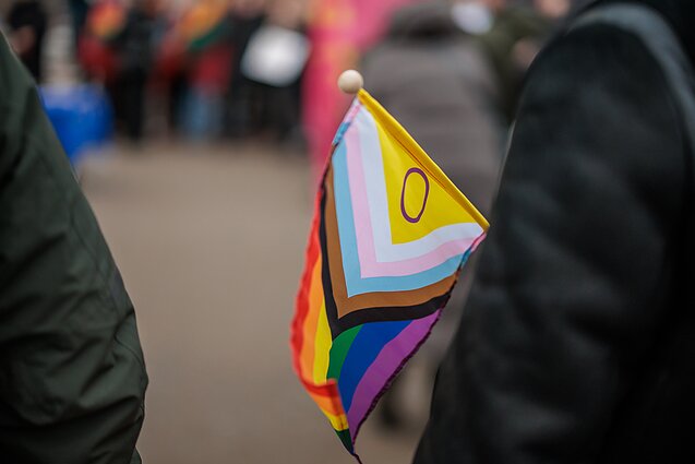 Ekspertas apie partnerystės klausimą: dalis porų nesikreipia į teismą, nes bijo viešumo