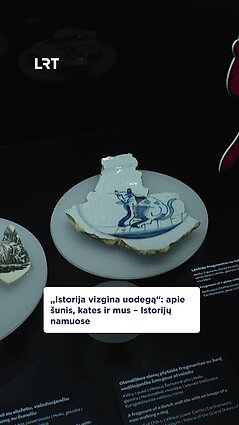 „Istorija vizgina uodegą“: per tūkstantmečius susiklostę žmogaus bei šuns santykiai