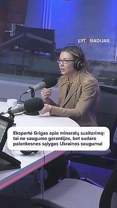 Ekspertė apie JAV-Ukrainos susitarimą: tai minkštosios saugumo garantijos