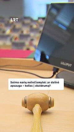 Politikai svarsto apie dalinę neliečiamybę