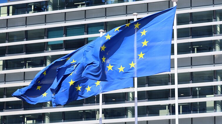 Minint Europos dieną, Jakniūnaitė mano: svarbu rasti, kas yra ES kaip ekonominis veikėjas