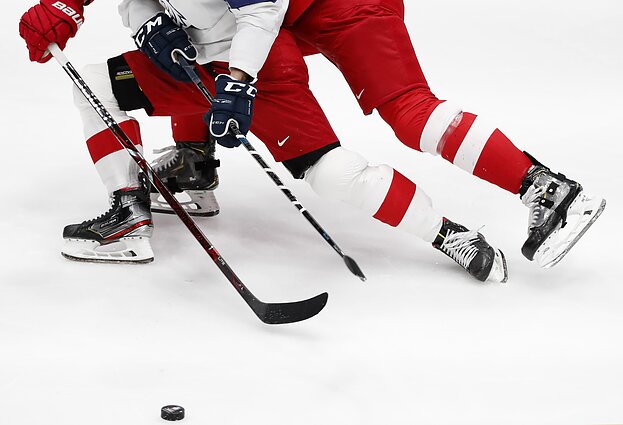 Pasaulio ledo ritulio čempionatas. Šveicarija – Čekija