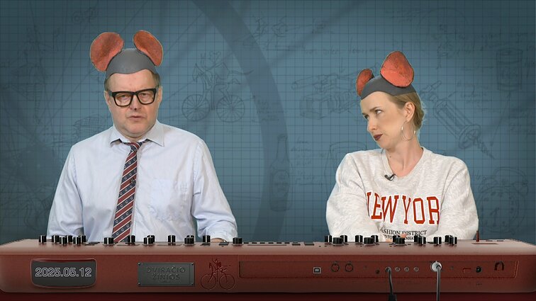 Peliukai apie Lietuvos šansus „Eurovizijoje“: vieta finale – garantuota?