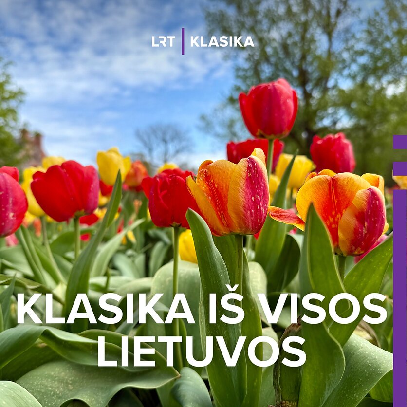 T. Mizgirdas / STOP kadras., Burbiškio dvaro tulpynas.