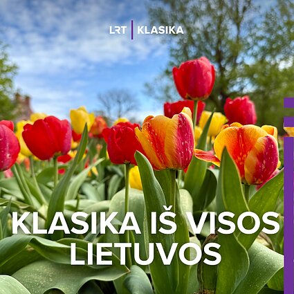 Burbiškio dvaro tulpynas.