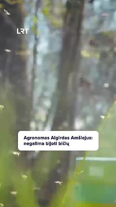 Algirdas Amšiejus apie bitutes: nereikia jų bijoti