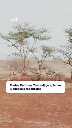 Juoduosius raganosius stebėjęs Karlonas: eina sau, kokio dydžio!
