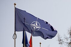 NATO vėliava NATO vėliava