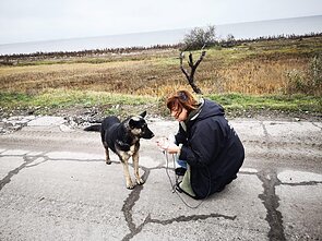 Ritos Miliūtės iš Ukrainos atgabenti šunys
