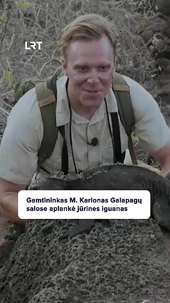 Kodėl jūrinėms iguanoms svarbu susišildyti saulėje?
