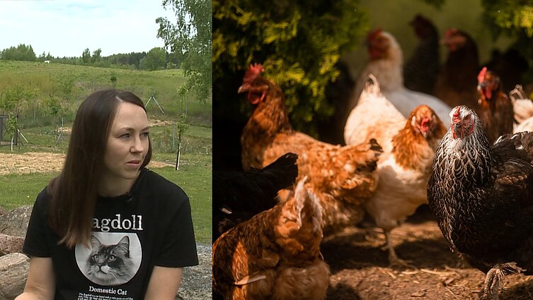 Agnės šeima iškeitė sostinės centrą į kaimą: atvykom į šabakštyną prie sugriuvusio namuko