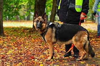 Iniciatyva „Pirmieji šunys asistentai Lietuvoje“ 