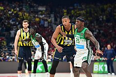 Eurolygos pusfinalis: Stambulo „Fenerbahče“ – Atėnų „Panathinaikos“