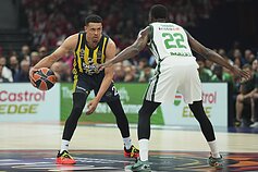 Eurolygos pusfinalis: Stambulo „Fenerbahče“ – Atėnų „Panathinaikos“