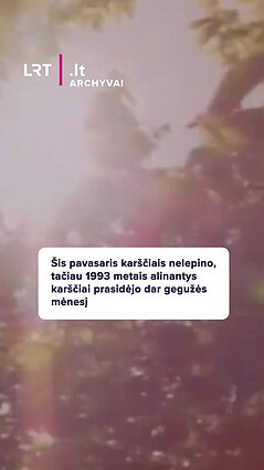 1993 metais alinantys karščiai prasidėjo dar gegužės mėnesį