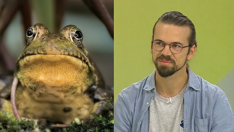Į pasaulio kraštą dėl varlių keliaujantis mokslininkas: nuo mažens „įsivėliau“ į tyrimus