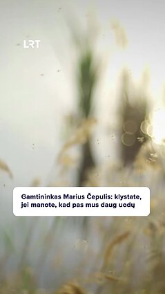 Čepulis apie uodus: klystate, jei manote, kad pas mus jų daug