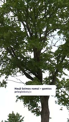 Nauji namai gamtoje – ramybės oazė