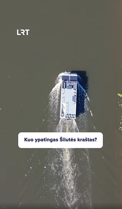 Kaip stebimi ir kiek paukščių galima pamatyti Šilutėje?