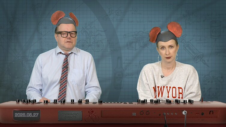 Peliukai apie „čekutininkų“ atsakomybės švelninimą: gal geriau apdovanoti?