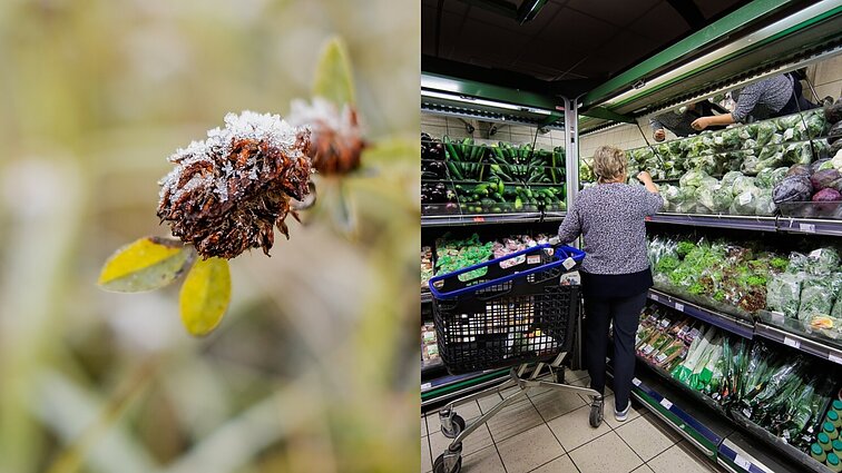 Šalnų atgarsius parduotuvių lentynose įvertinusi ekspertė: maistas visada brangsta