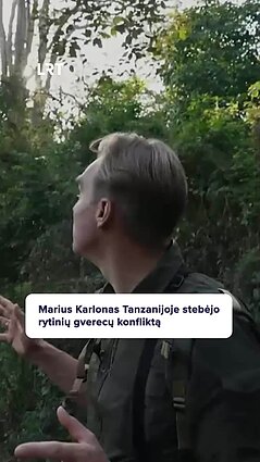 Karlonas stebi dvi konfliktuojančias beždžionių šeimas