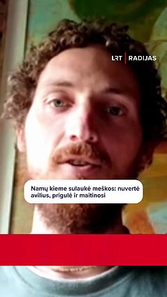 „Maitinosi ir tiesiog gulėjo prie avilio“: meška apsilankė Ignalinos rajone