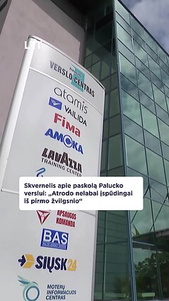 Skvernelis apie paskolą Palucko verslui: tokios istorijos kels klausimų – tai nenuostabu