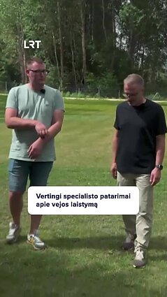 Norintiems vešlios vejos – specialisto patarimai