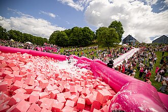 Sostinėje karaliauja rožinė: Šaltibarščių festivalis įtraukė į linksmybių sūkurį