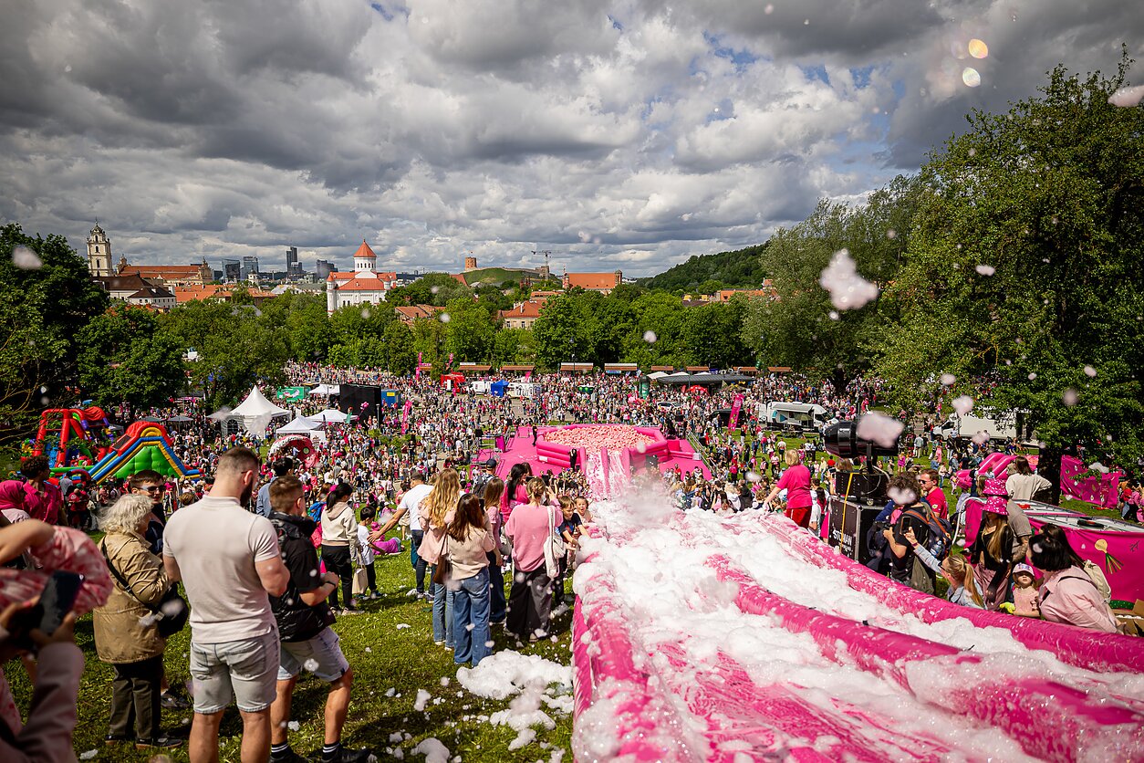 Sostinėje karaliauja rožinė: Šaltibarščių festivalis įtraukė į linksmybių sūkurį